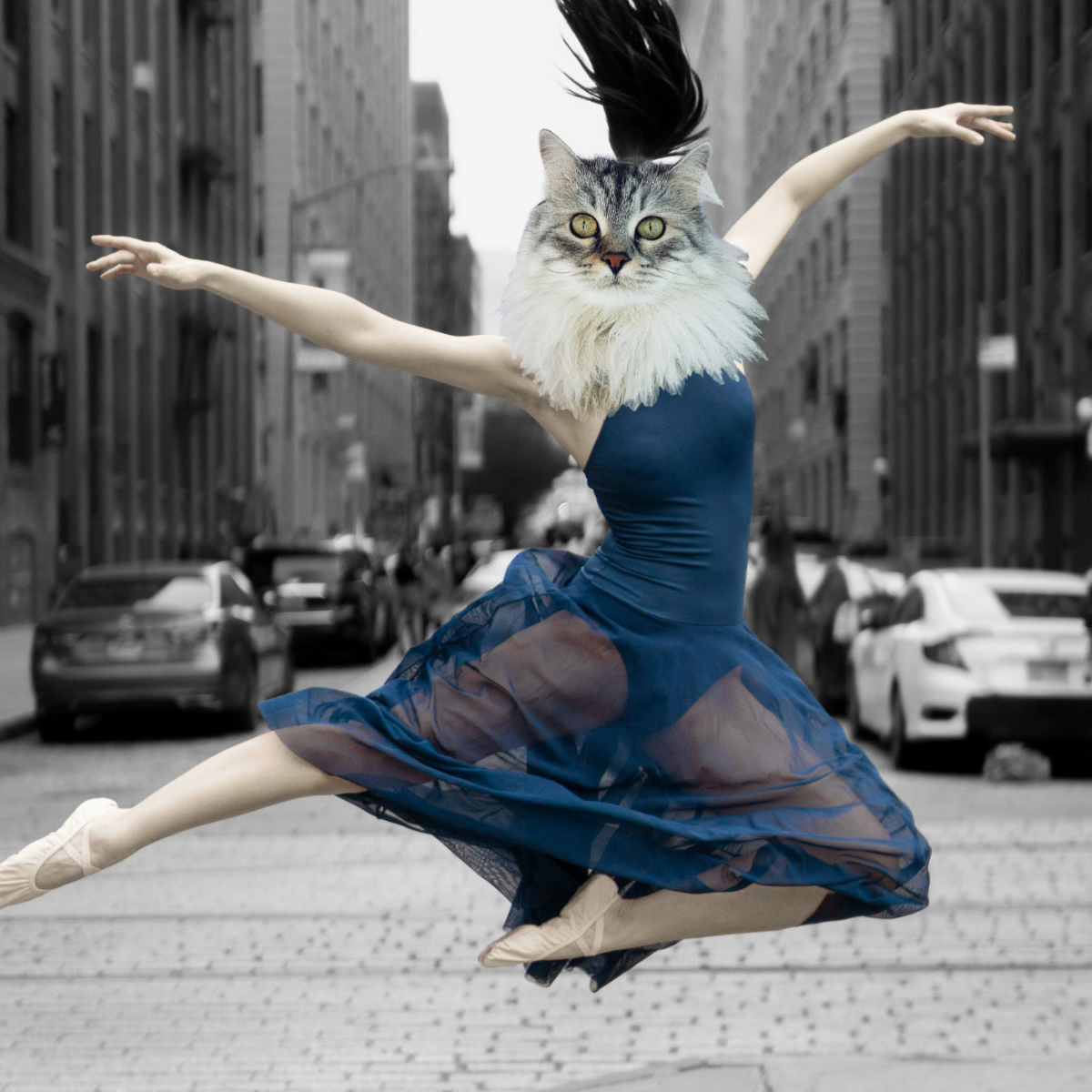 Uma Purrman